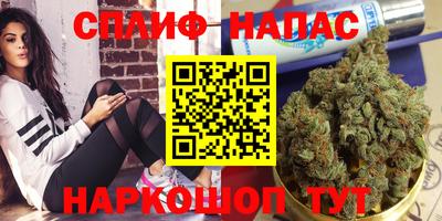 спиды Будённовск