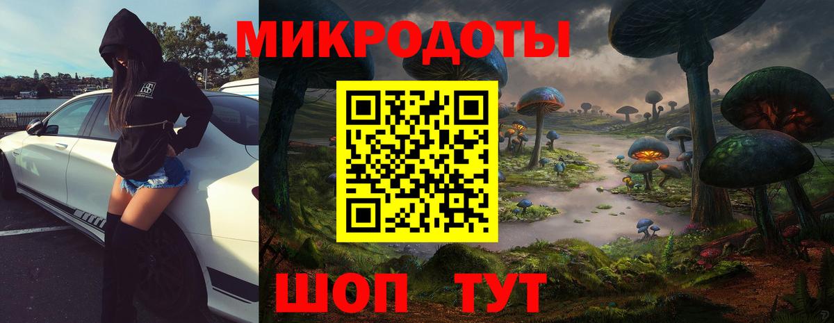 Псилоцибиновые грибы Cubensis Тимашёвск