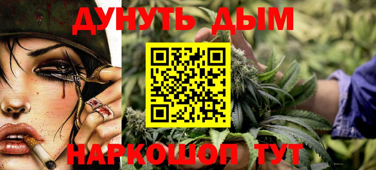 Бошки Шишки планчик Тимашёвск